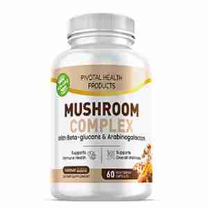 mushroom product page shot